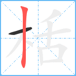 栝笔顺分解图片2