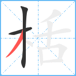 栝笔顺分解图片3