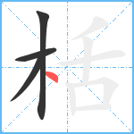 栝笔顺分解图片4