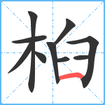 桕笔顺分解图片10