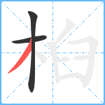 桕笔顺分解图片3
