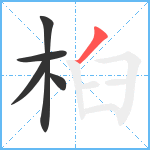 桕笔顺分解图片5