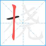 桡笔顺分解图片2