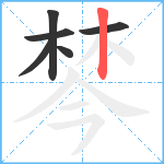 棽笔顺分解图片6