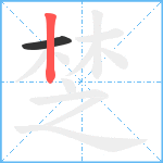 椘笔顺分解图片2