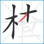 楂笔顺分解图片7