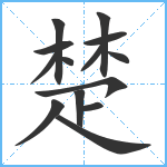 楚笔顺分解图片14