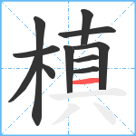 槙笔顺分解图片11