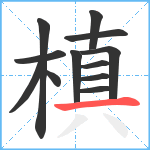 槙笔顺分解图片12