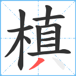 槙笔顺分解图片13