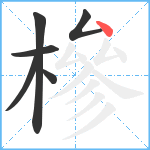 槮笔顺分解图片6