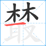 樷笔顺分解图片9