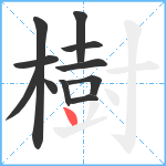 樹笔顺分解图片11