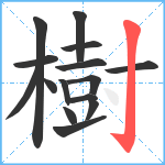 樹笔顺分解图片15