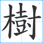 樹笔顺分解图片17