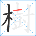 樹笔顺分解图片5