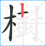 樹笔顺分解图片6