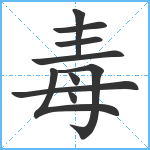 毒笔顺分解图片10