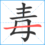 毒笔顺分解图片7