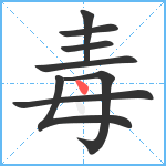 毒笔顺分解图片8