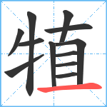 犆笔顺分解图片12