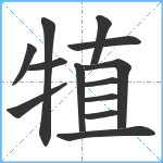 犆笔顺分解图片13