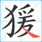 猨笔顺分解图片12