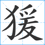 猨笔顺分解图片13