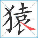 猿笔顺分解图片13