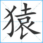 猿笔顺分解图片14