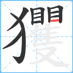 玃笔顺分解图片13