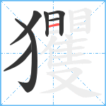 玃笔顺分解图片7