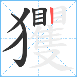 玃笔顺分解图片9