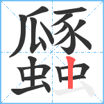 瓥笔顺分解图片22