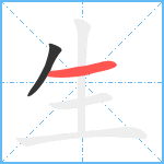 生笔顺分解图片2