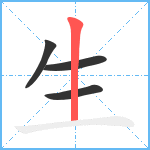 生笔顺分解图片4
