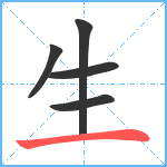 生笔顺分解图片5
