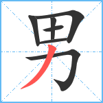 男笔顺分解图片7