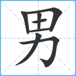 男笔顺分解图片8