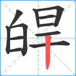 皔笔顺分解图片12