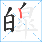 皡笔顺分解图片7