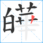 皣笔顺分解图片14