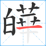 皣笔顺分解图片15