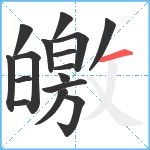 皦笔顺分解图片16