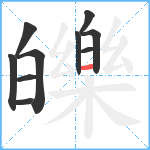 皪笔顺分解图片10