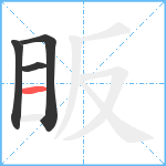 眅笔顺分解图片4