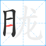 眬笔顺分解图片4