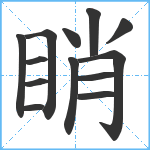 睄笔顺分解图片13