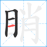 睄笔顺分解图片4