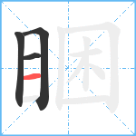 睏笔顺分解图片4